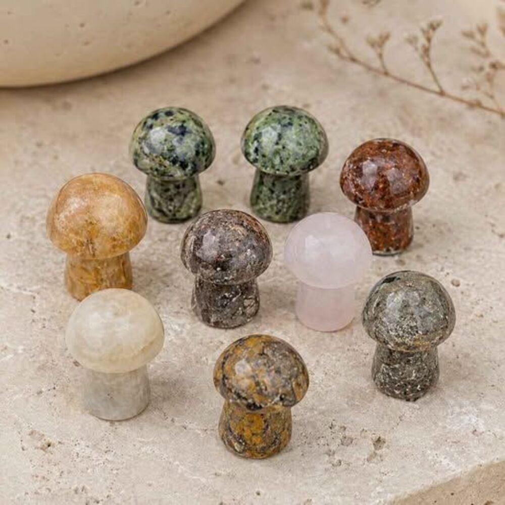 Assorted Natural Stone Crystal Mushroom Carvings Set Fairy Garden